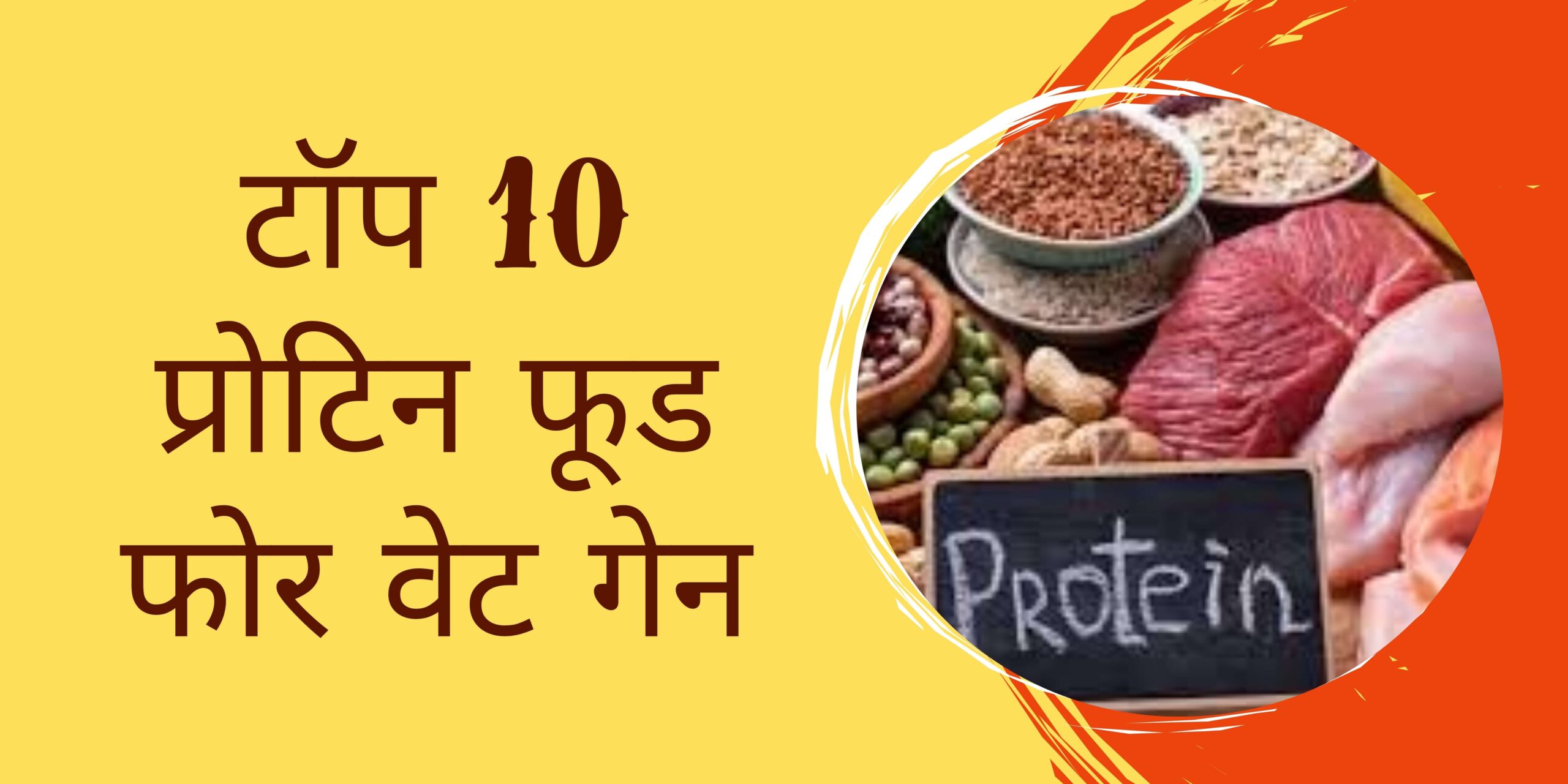 Top 10 Protein Food for Weight Gain